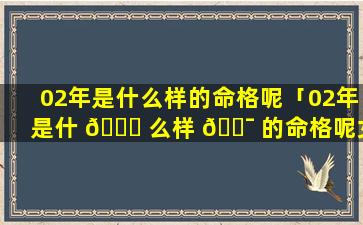 02年是什么样的命格呢「02年是什 🐞 么样 🐯 的命格呢女孩」